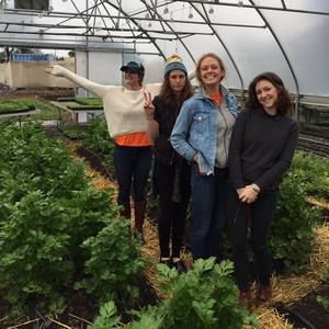 Meet your Posher, Ashley